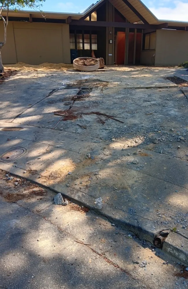 Expert yard cleanup service for homes in Redwood City, CA by Redwood Gardening And Landscape