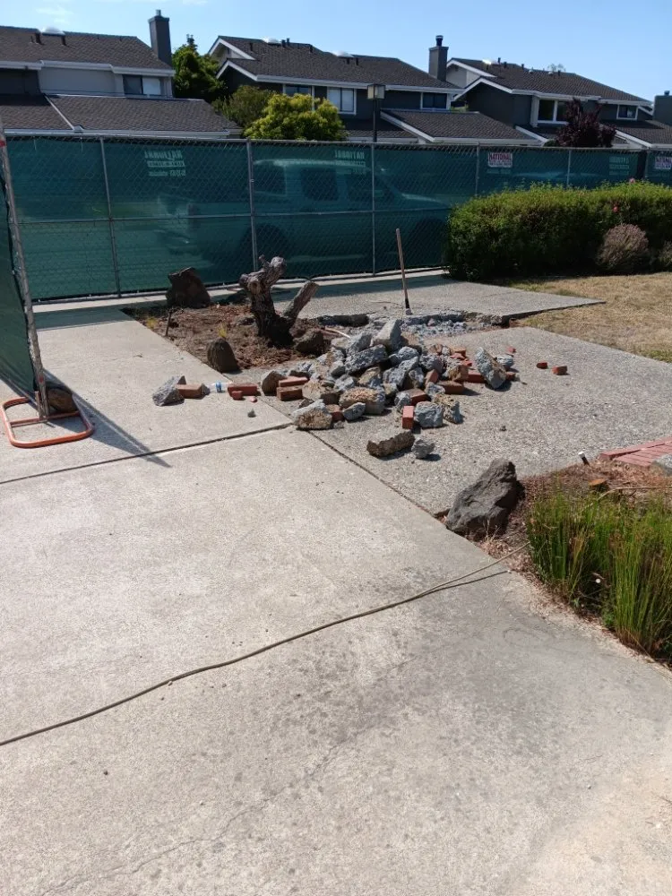 Affordable yard cleanup service in Redwood City, CA by Redwood Gardening And Landscape