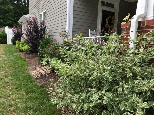 Professional lawn care service experts serving Raleigh, NC - Redwood Land Design