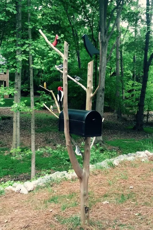 Expert yard cleanup service for beautiful yards in Raleigh, NC by Redwood Land Design