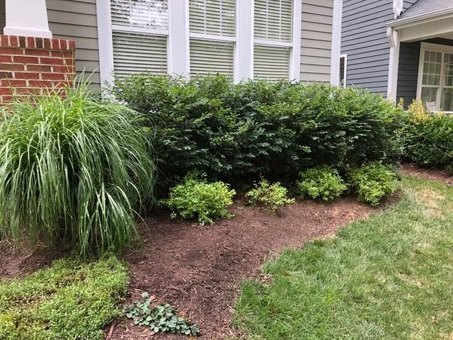 Affordable landscape installation for residential properties in Raleigh, NC by Redwood Land Design