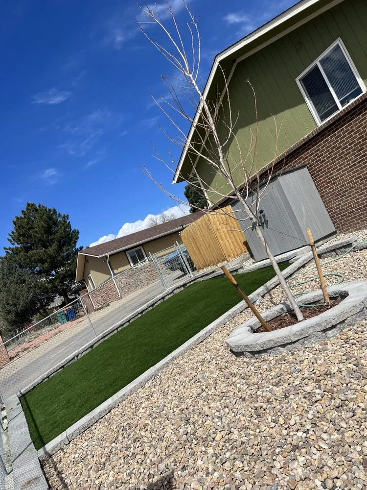 Custom yard cleanup service in Denver, CO - Redwood Landscape
