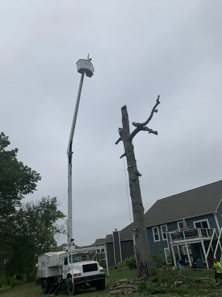 Custom garden landscaping with custom design across Thorntown, IN - Redwood Landscape