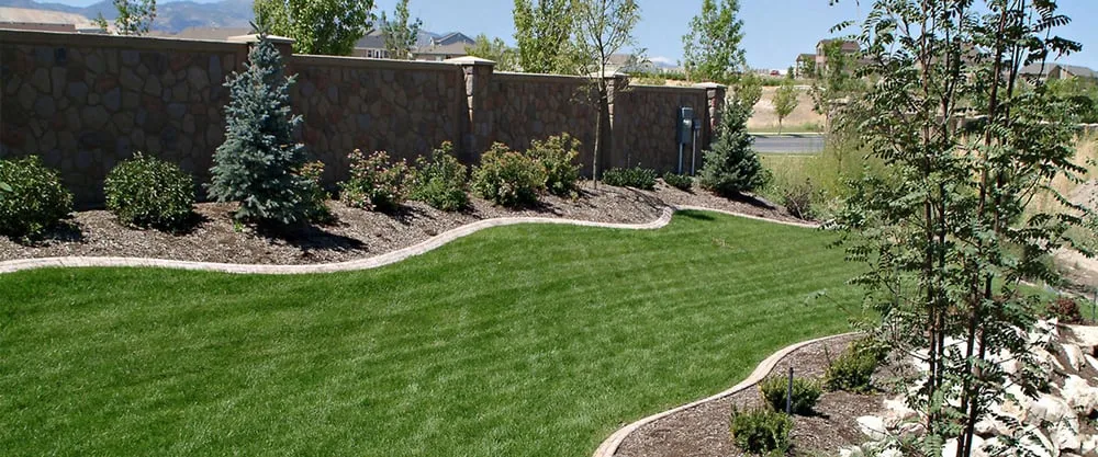 Top-rated lawn care service in Mesa, AZ - Redwood Landscaping