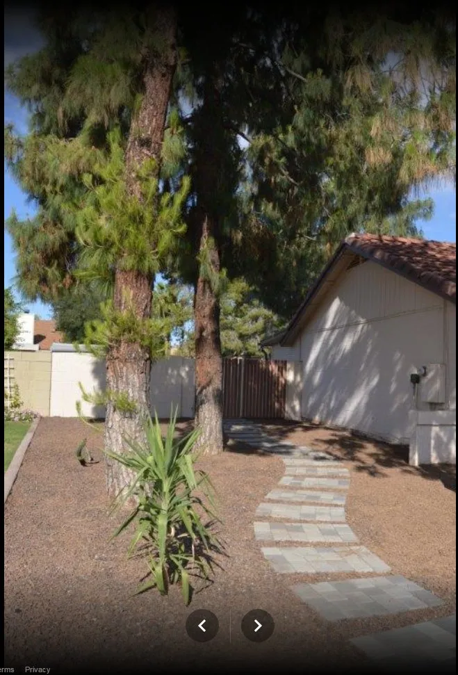 Reliable yard cleanup service experts serving Mesa, AZ - Redwood Landscaping