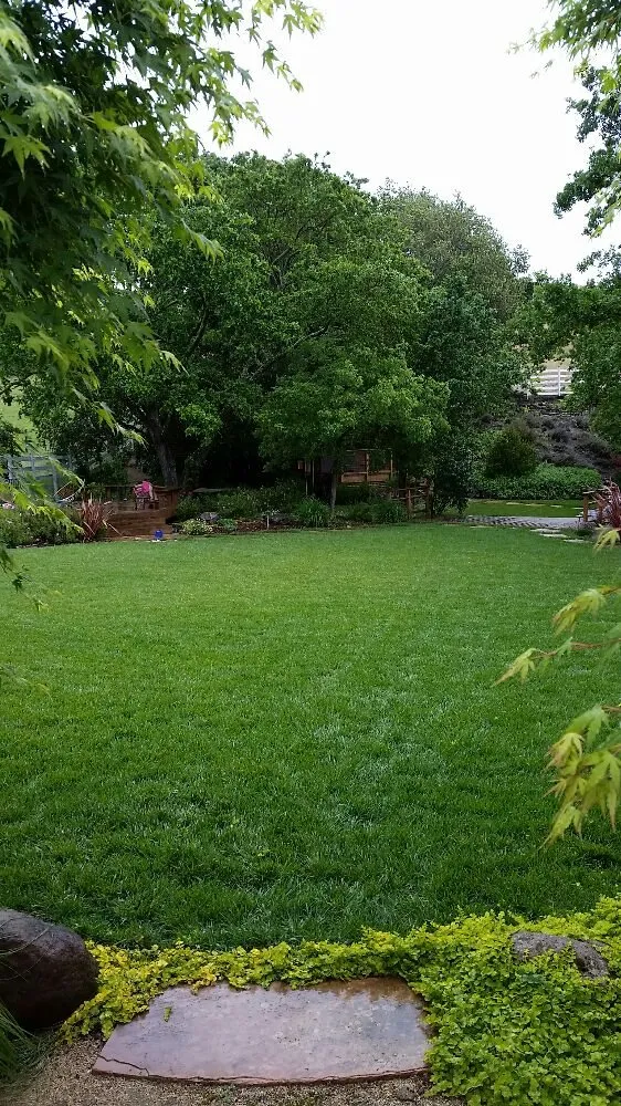 Expert residential landscaping in Novato, CA by Redwood Landscaping Service