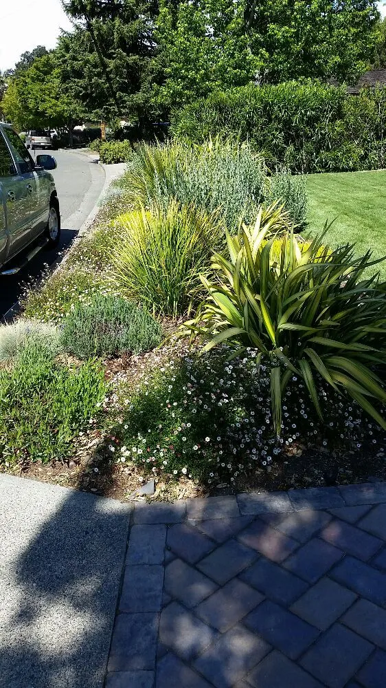 Local lawn mowing service in Novato, CA - Redwood Landscaping Service