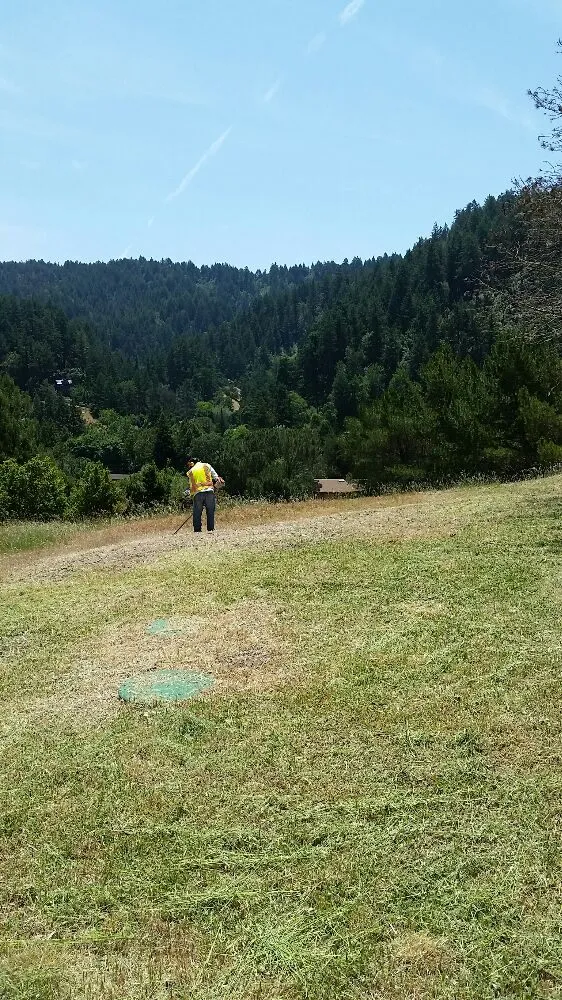 Trusted yard cleanup service near you across Novato, CA - Redwood Landscaping Service