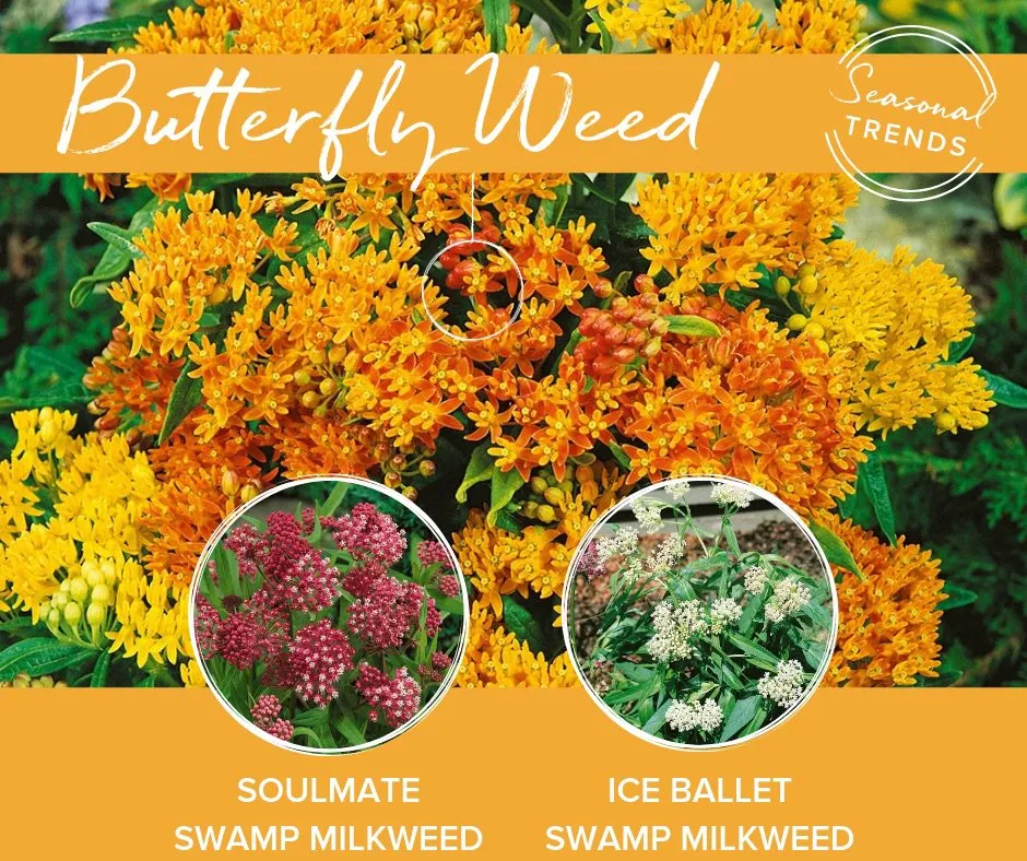 Expert landscape installation for homes in Swansea, MA by Redwood Nursery & Garden Center