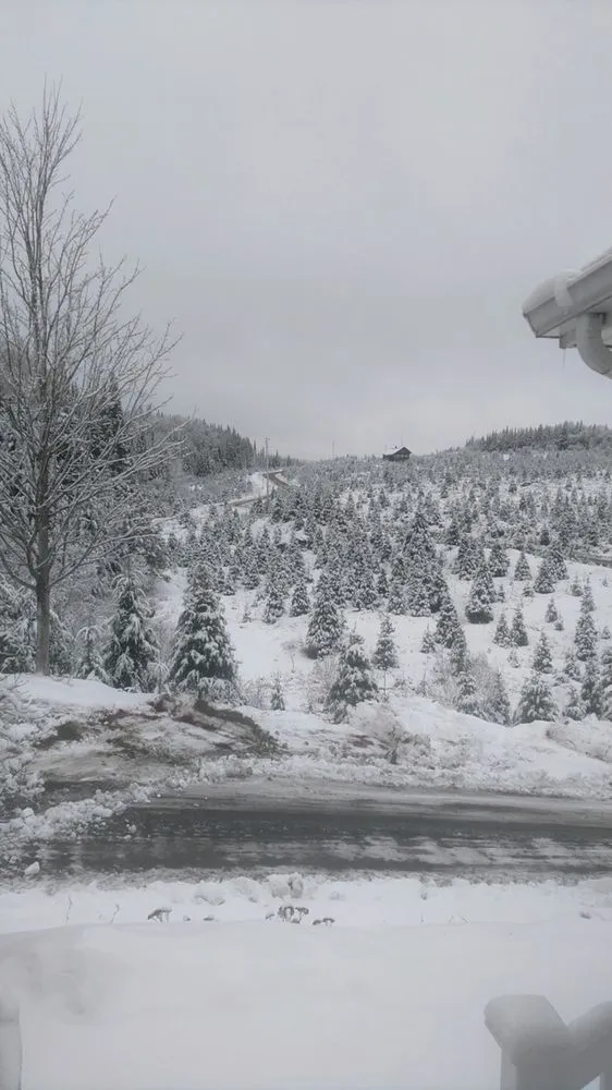 Expert lawn mowing service for homes in Swansea, MA by Redwood Nursery & Garden Center