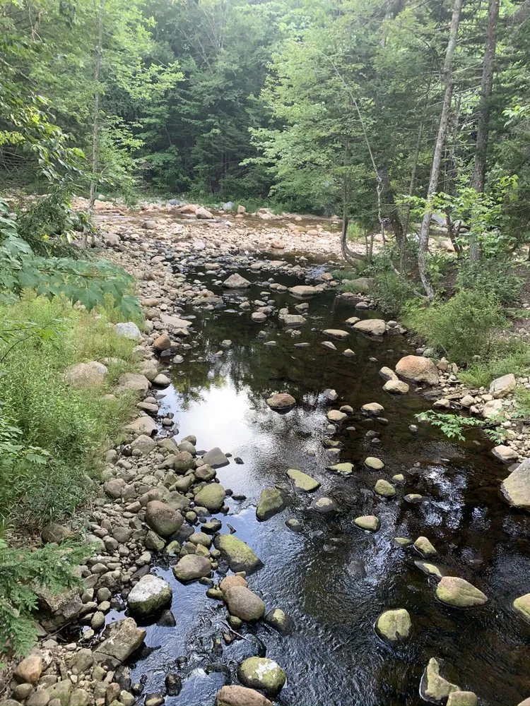 Top-rated landscaping services in Swansea, MA by Redwood Nursery & Garden Center