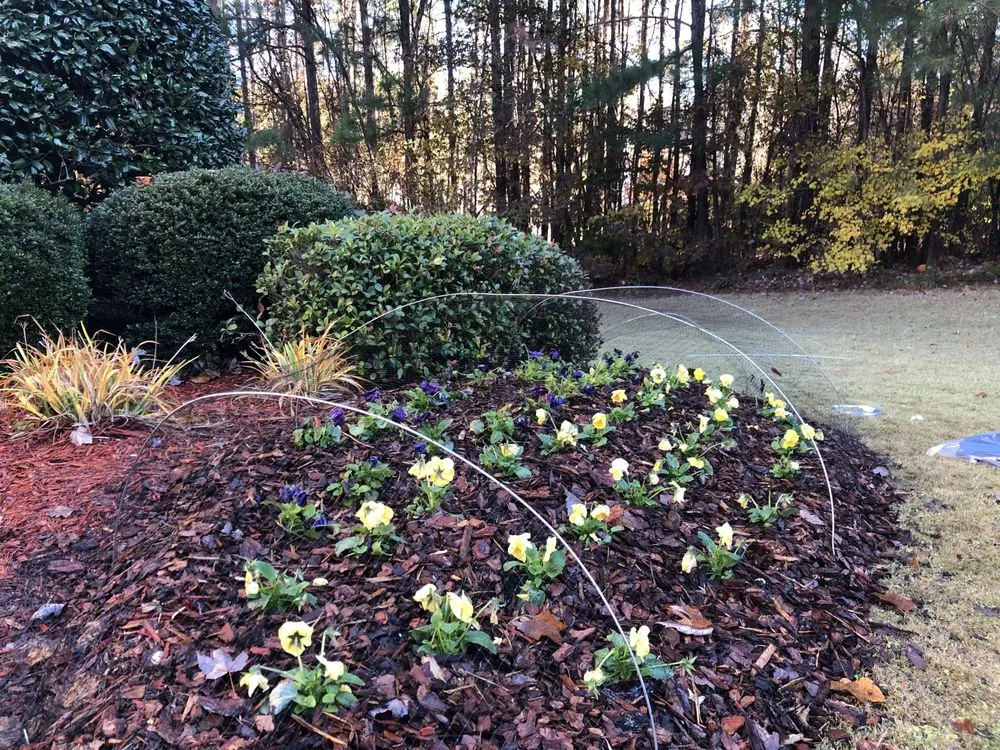 Reliable yard maintenance with custom design in Auburn, GA by Redwood Outdoor Designs