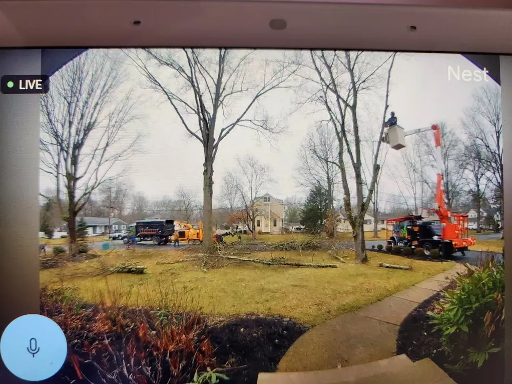 Trusted lawn mowing service in New Providence, NJ by Redwood Tree & Landworx