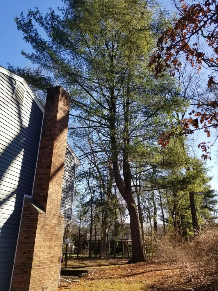 Local lawn mowing service in New Providence, NJ by Redwood Tree & Landworx