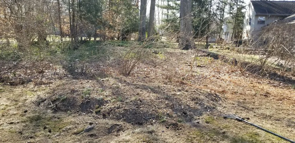 Local garden landscaping for year-round maintenance across New Providence, NJ - Redwood Tree & Landworx