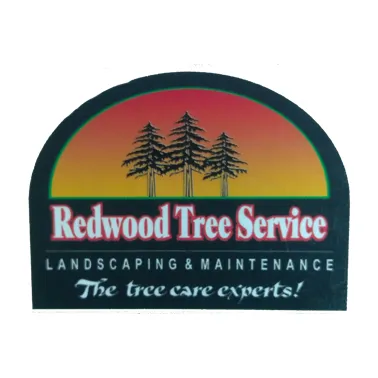 Affordable landscaping services experts serving Lodi, CA - Redwood Tree Service
