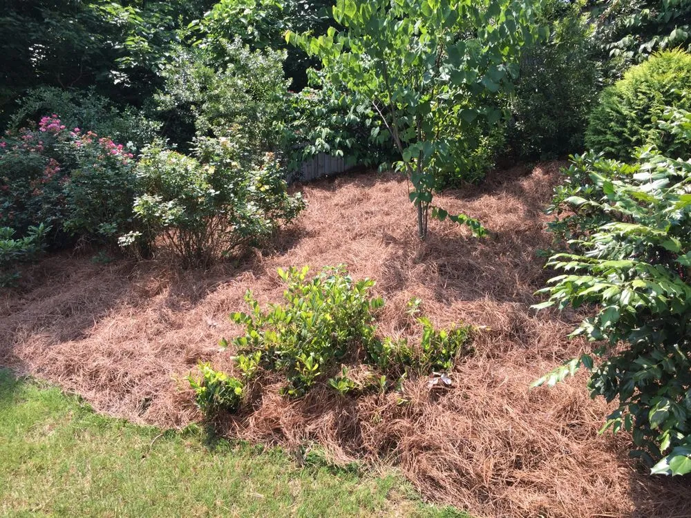 Expert residential landscaping in Kennesaw, GA - Redwood’s Garden service