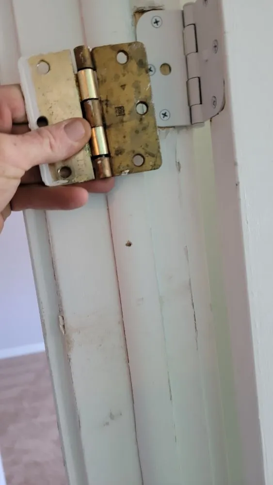 Professional landscaping services in Lafayette, CO - Redz Property Maintenance