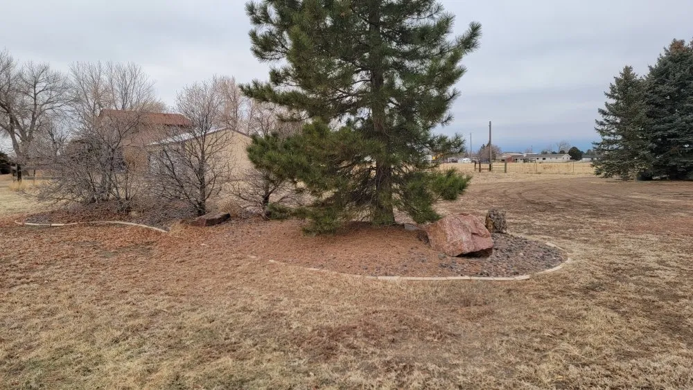 Trusted garden landscaping experts serving Lafayette, CO - Redz Property Maintenance