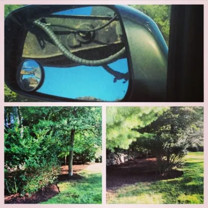 Custom lawn care service experts serving Weymouth, MA - RedZone Landscaping