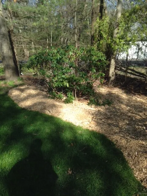 Custom residential landscaping for outdoor upgrades in Weymouth, MA by RedZone Landscaping