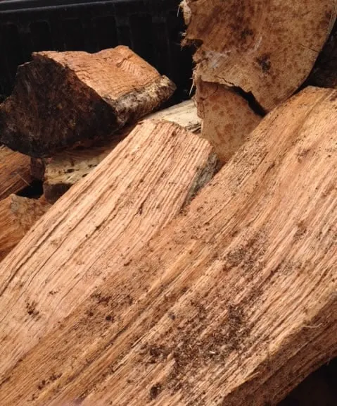 Expert landscape design near you in Weymouth, MA by RedZone Landscaping