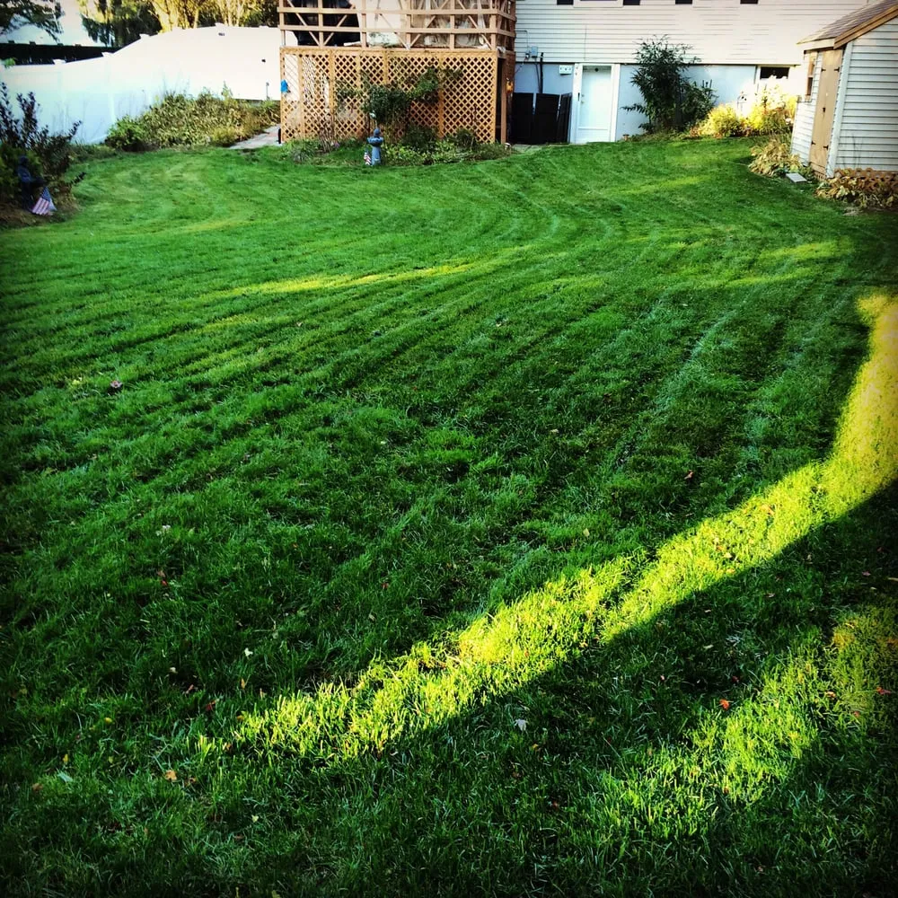 Expert landscaping services in Weymouth, MA by RedZone Landscaping