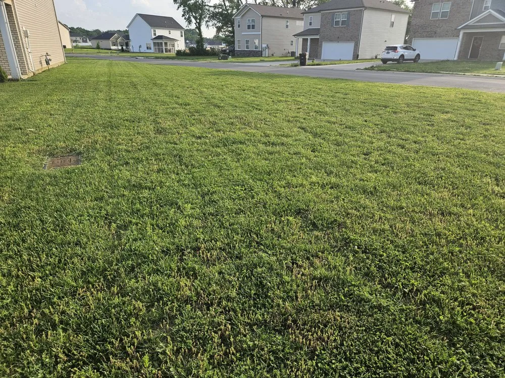 Expert residential landscaping in Smithville, TN - RedZone Lawn Care and Maintenance