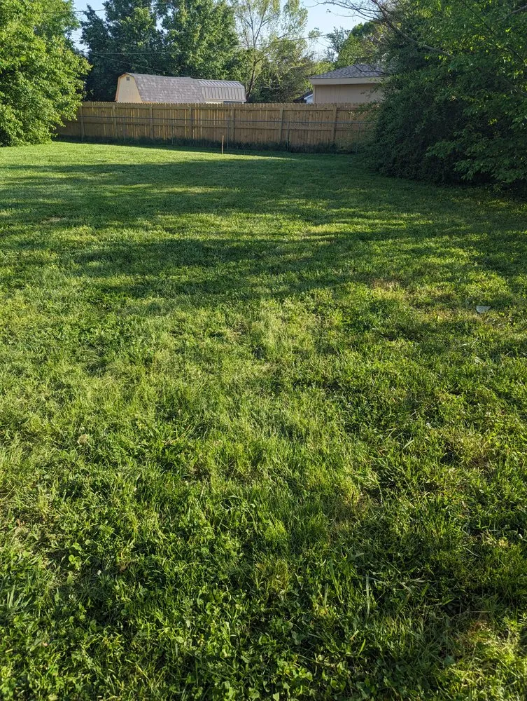 Affordable residential landscaping for beautiful yards across Charlotte, NC - Reed -Worxx