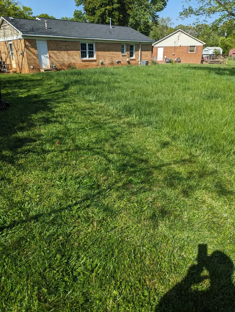 Custom yard maintenance in Charlotte, NC by Reed -Worxx