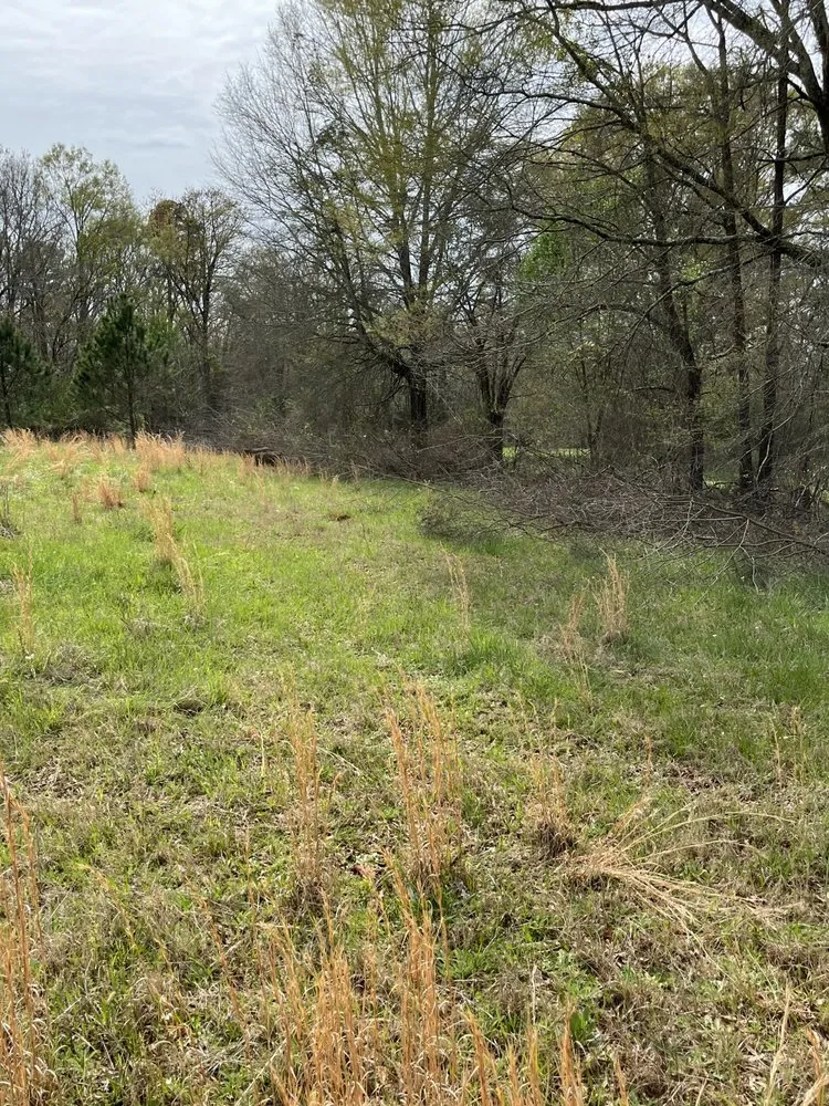 Affordable landscape installation experts serving Lincolnton, GA - Reed GroundWorx