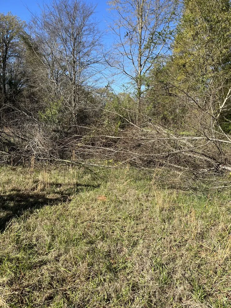 Local residential landscaping with custom design in Lincolnton, GA by Reed GroundWorx