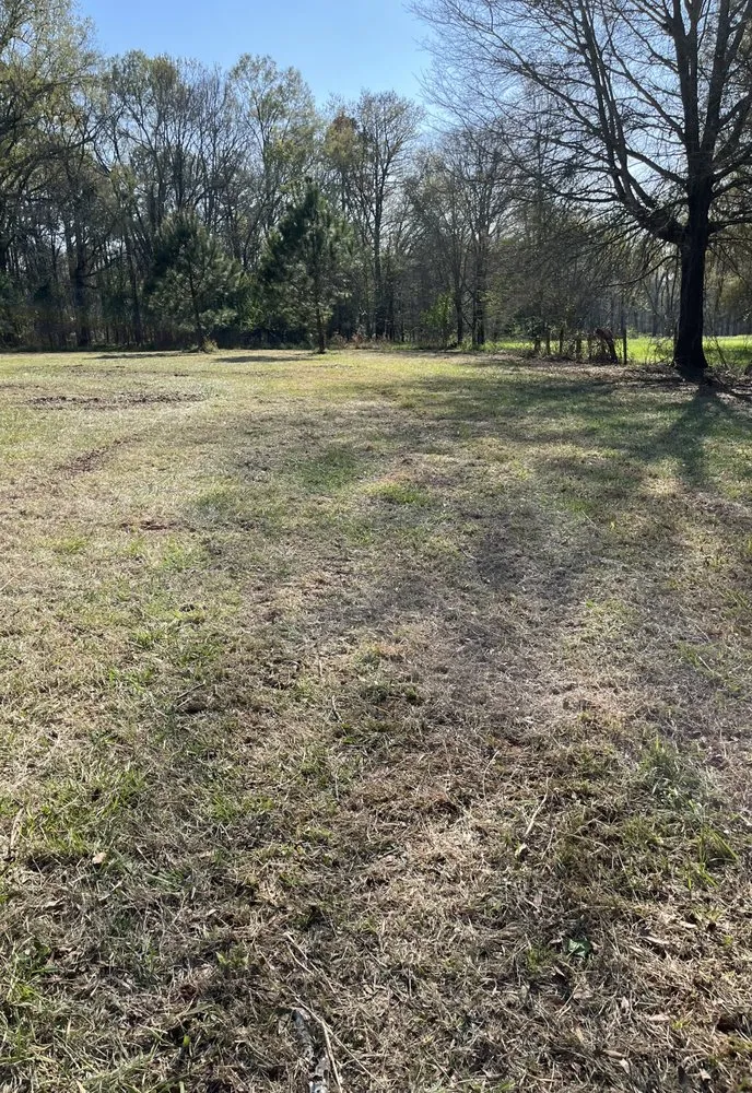 Affordable yard maintenance near you in Lincolnton, GA by Reed GroundWorx
