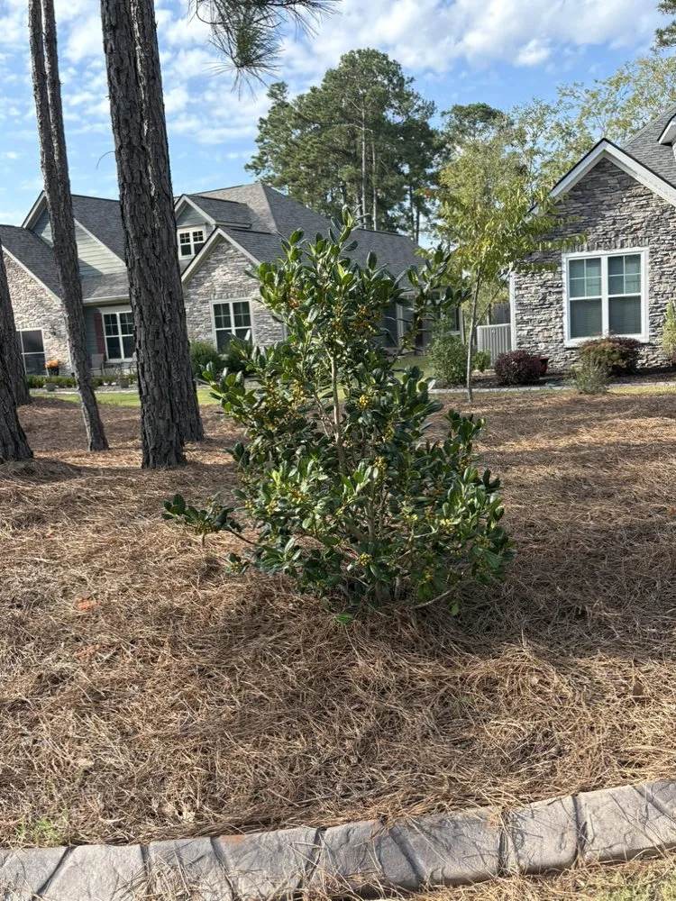 Custom landscape installation in Lincolnton, GA - Reed GroundWorx