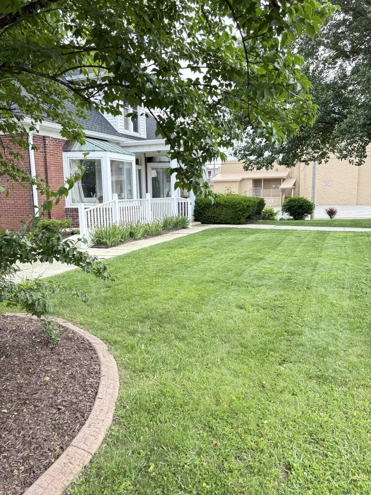 Custom yard cleanup service in Grandview, TN - Reed Landscaping