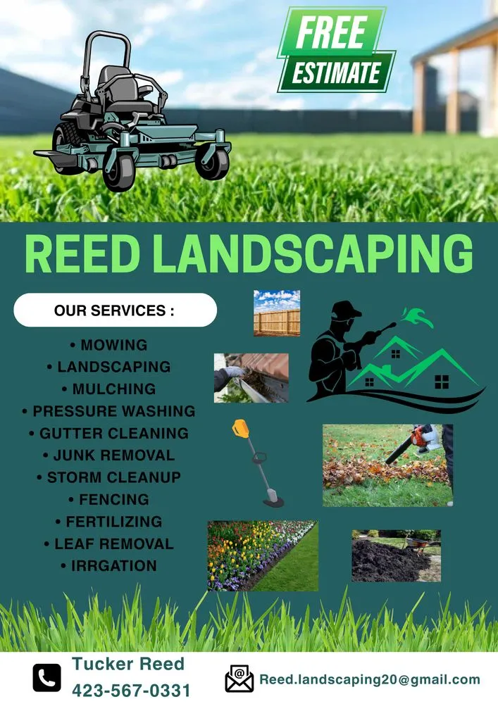 Custom yard cleanup service in Grandview, TN by Reed Landscaping