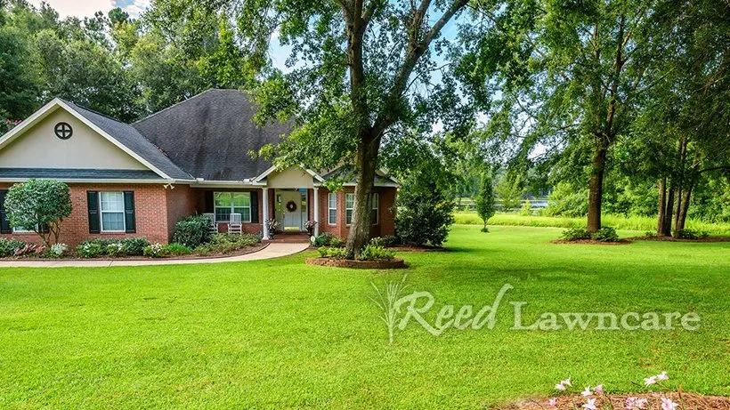 Professional yard maintenance for year-round maintenance across Mustang, OK - Reed Lawncare