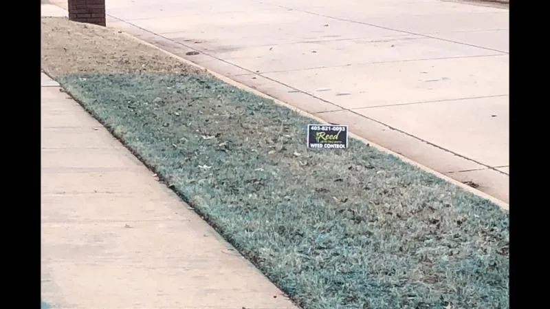 Expert lawn mowing service in Mustang, OK - Reed Lawncare