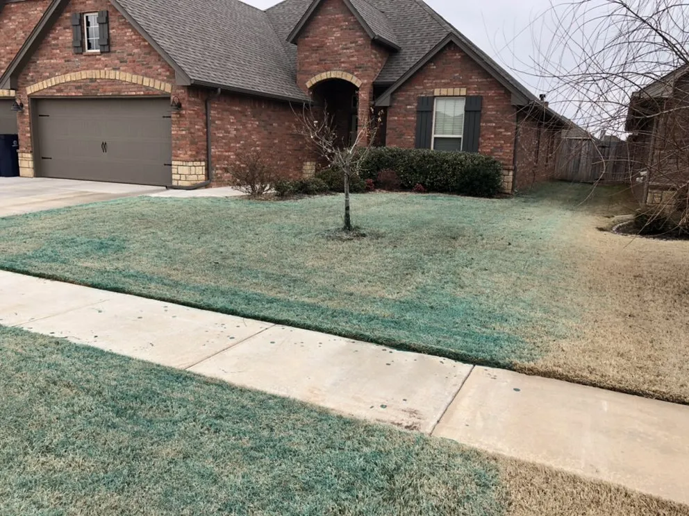 Reliable yard maintenance in Mustang, OK - Reed Lawncare