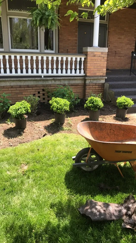 Expert lawn care service in Beaver, PA - Reed Meadows Landscaping