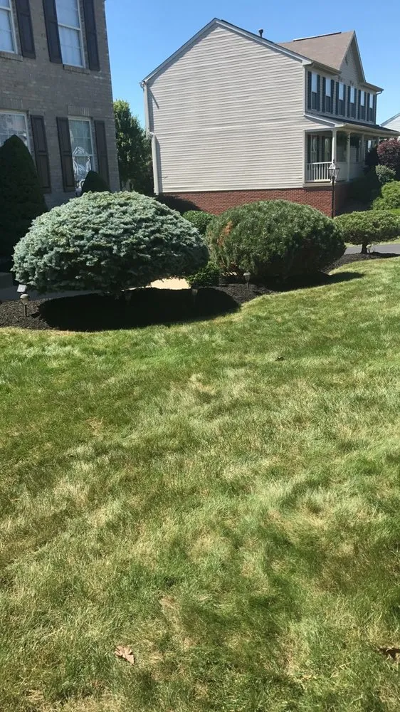 Expert residential landscaping for homes in Beaver, PA by Reed Meadows Landscaping