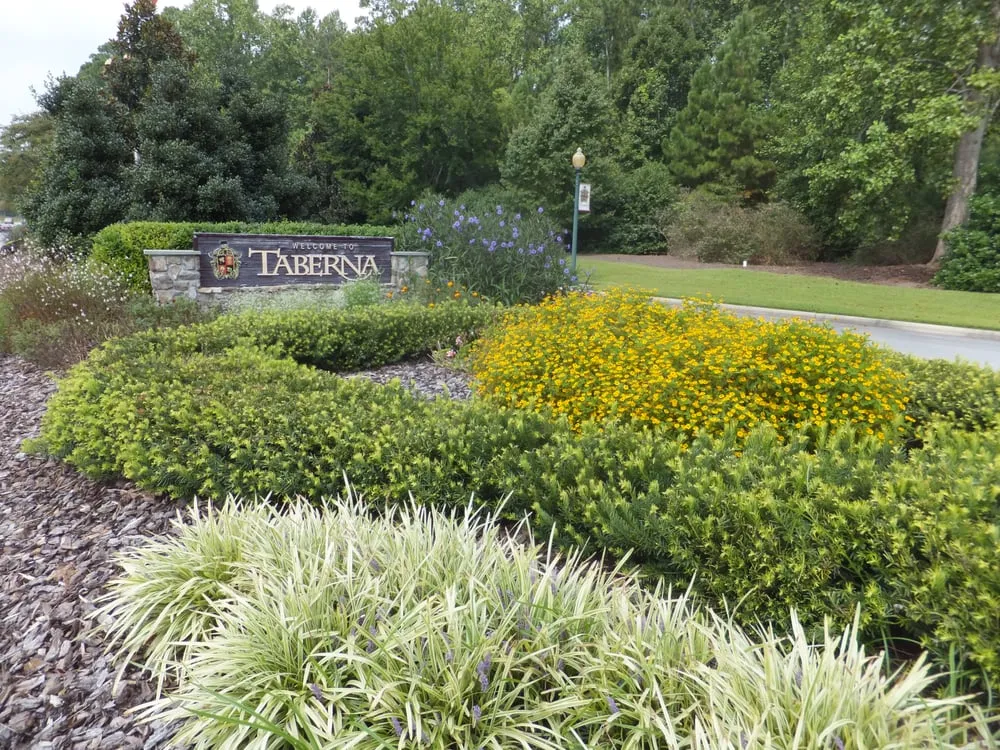 Professional residential landscaping in New Bern, NC by Reed Patio Construction