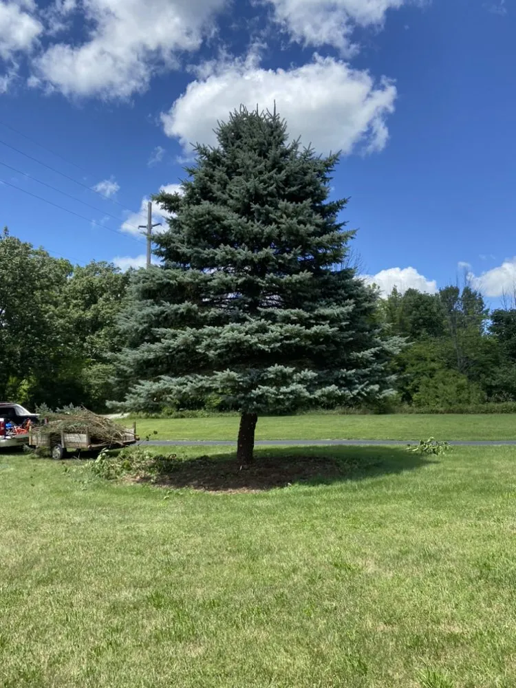 Affordable outdoor landscaping experts serving Oxford, OH - Reedeliver Services