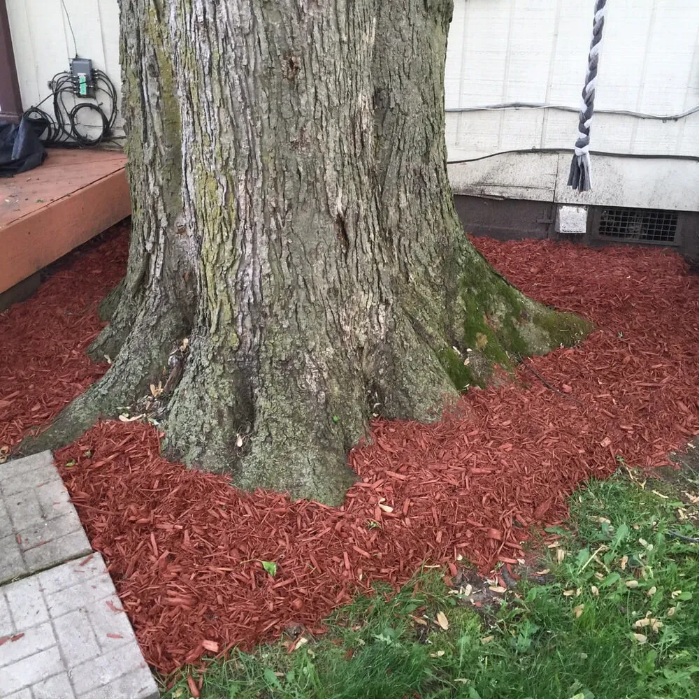 Custom yard cleanup service in Farmington Hills, MI - Reed's Landscaping & Lawn Care