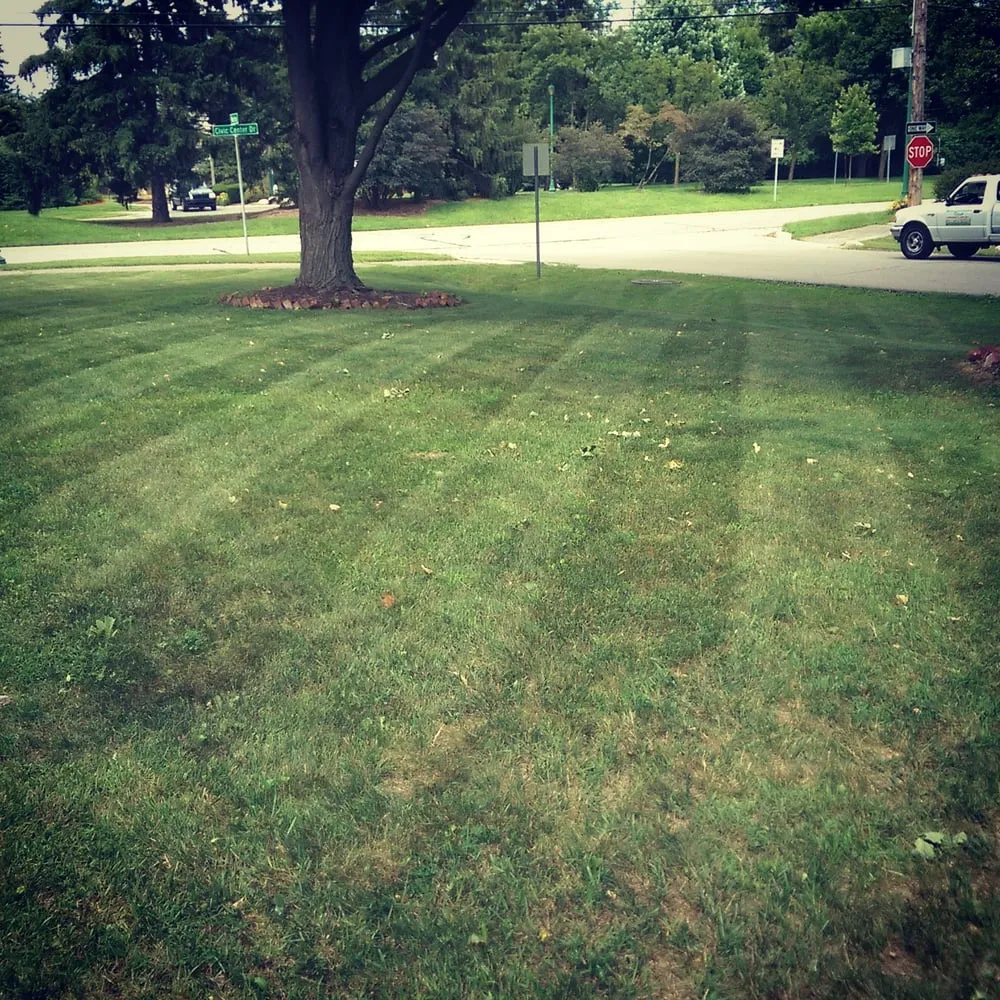 Expert landscaping services experts serving Farmington Hills, MI - Reed's Landscaping & Lawn Care