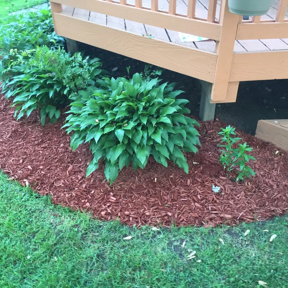 Top-rated outdoor landscaping in Farmington Hills, MI - Reed's Landscaping & Lawn Care