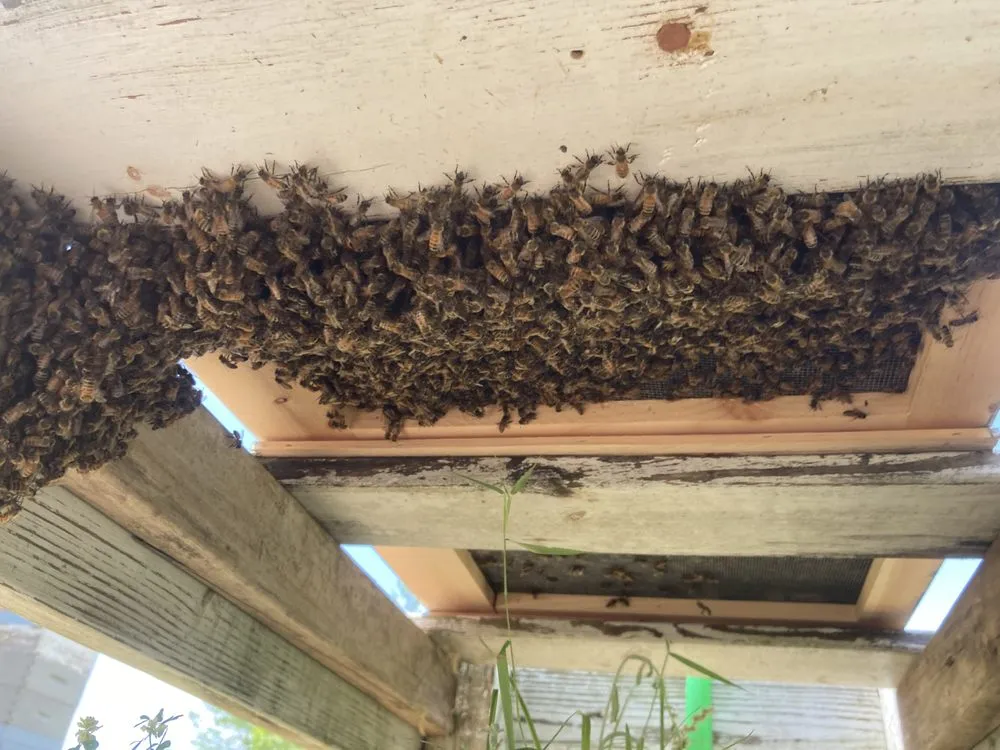 Trusted landscape design experts serving Liberty, SC - Reeds Landscaping and More