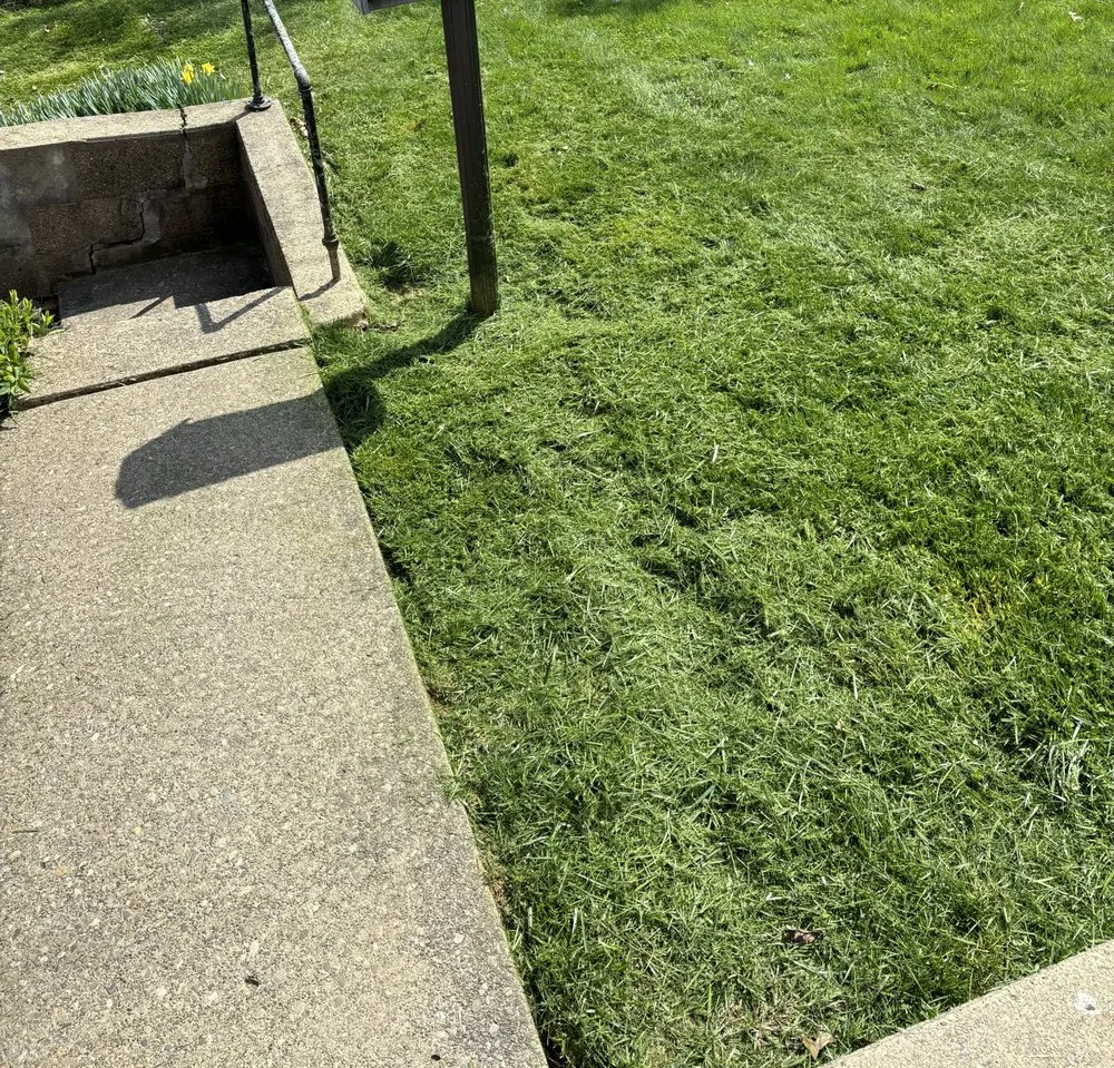 Affordable lawn care service in Arthurdale, WV - Reeds Lawn & Landscaping