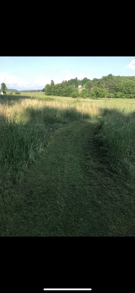 Trusted yard cleanup service in Arthurdale, WV by Reeds Lawn & Landscaping