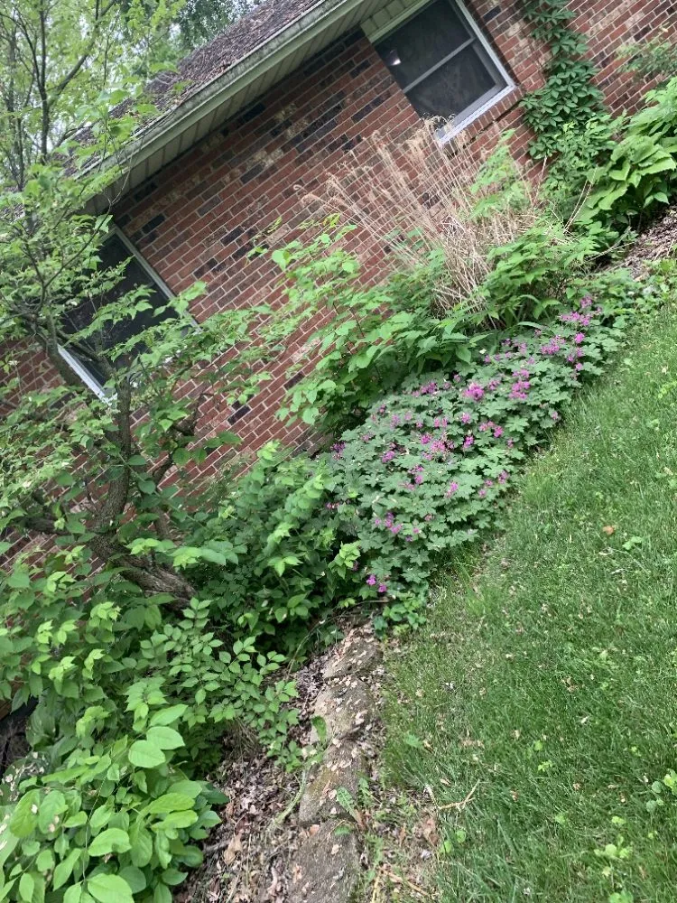 Trusted landscape installation experts serving middletown, OH - Reed's Lawn & Landscaping